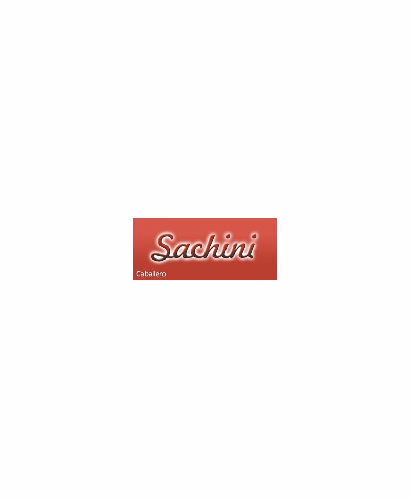 SACHINI