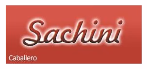 SACHINI