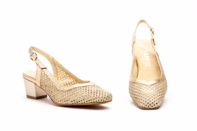 Zapatos Mujer Platino Tacón Bajo